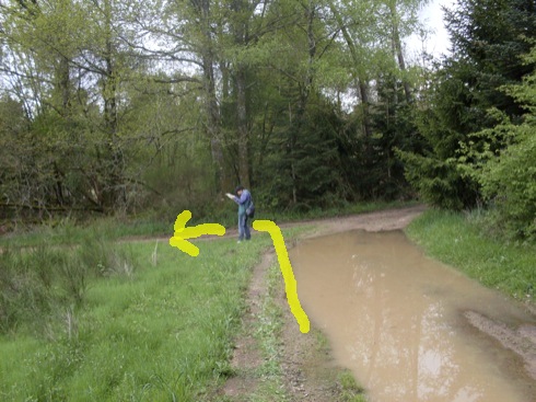 Chemin avec tree-stand et fleche